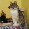 Отзыв от Ангелина Евдокимова
